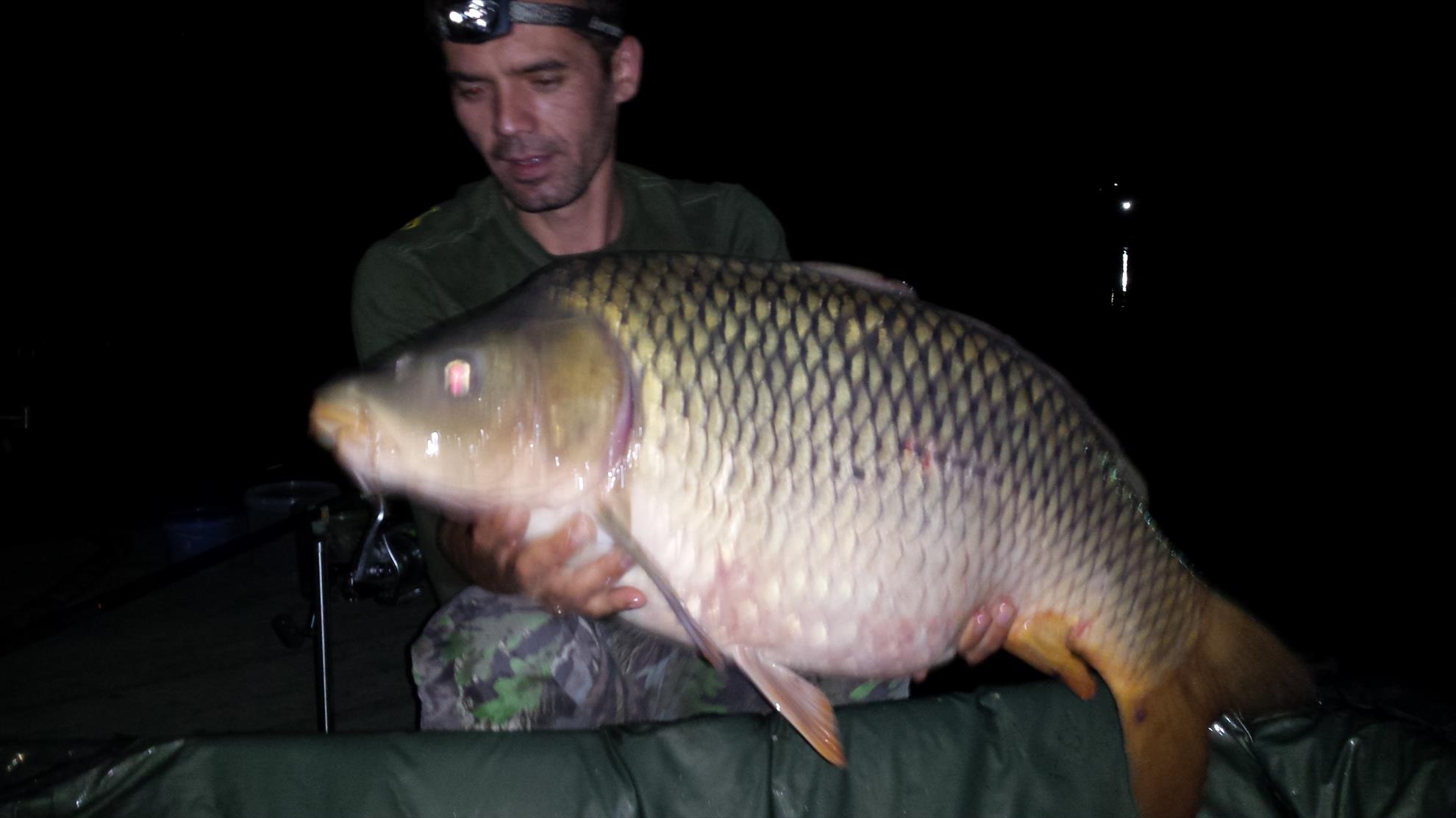 Moara Vlasiei 2 28 - 29 august 2015 - 201508290054151.jpg